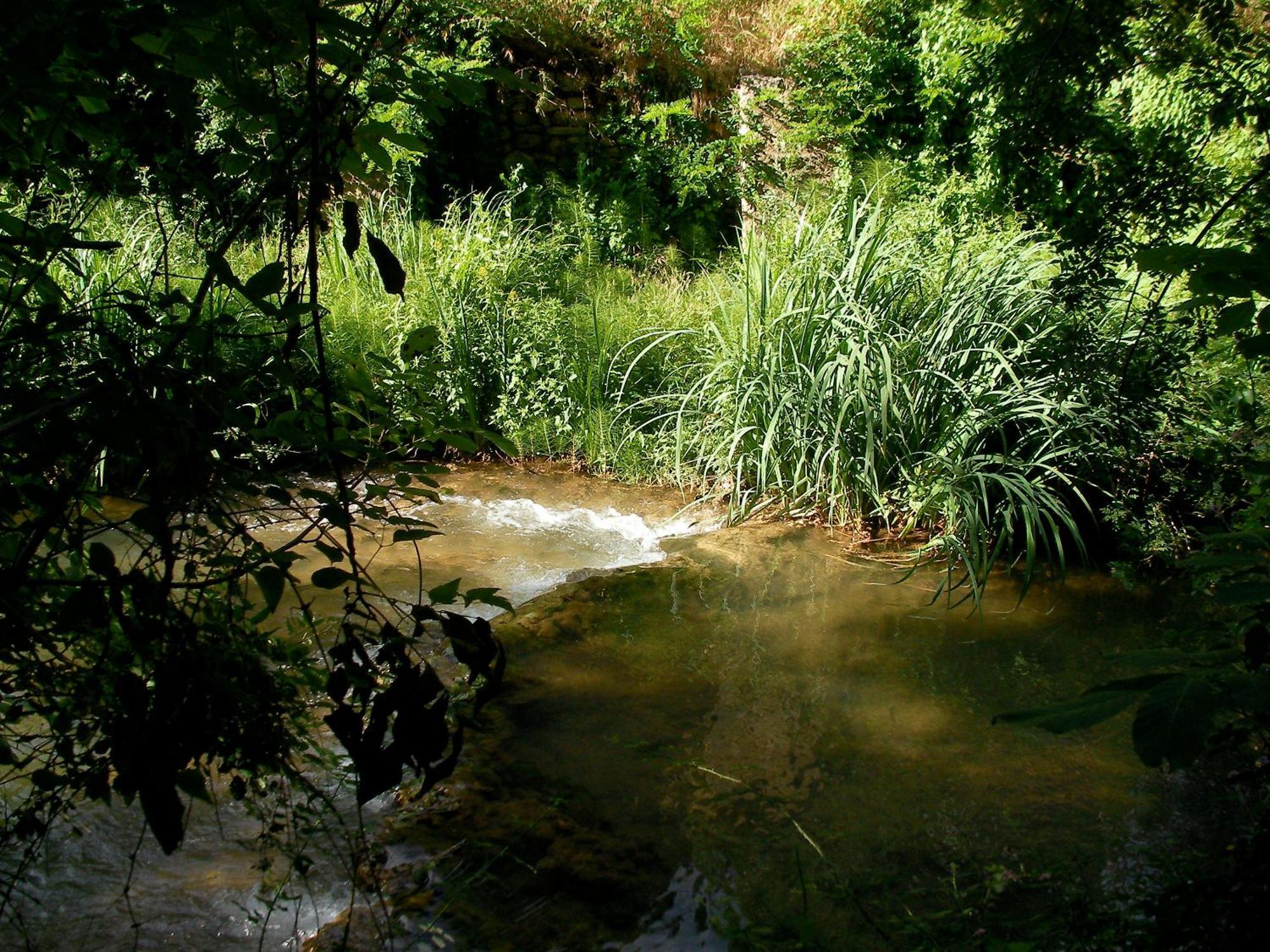 Le Vieux Moulin De Jouques Bed and Breakfast Εξωτερικό φωτογραφία